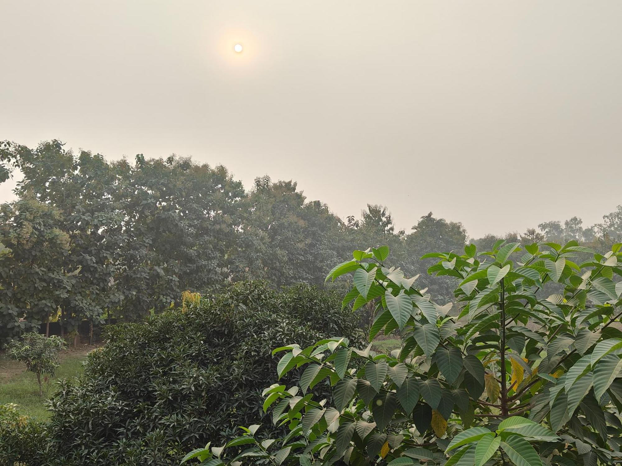 Nature Homestay Varanasi Bagian luar foto